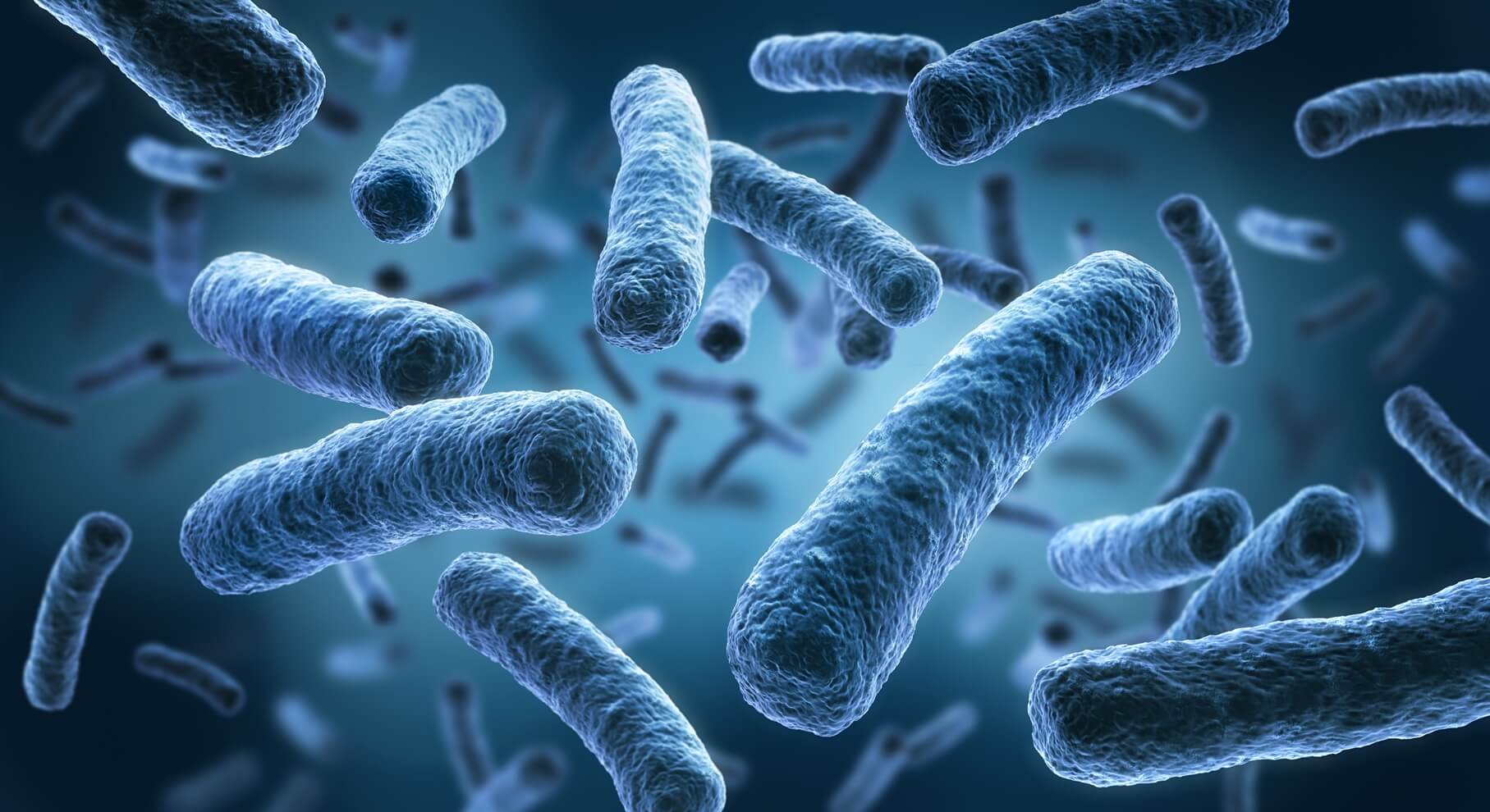 Legionella testing in Brighton